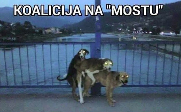 Koalicija.jpg