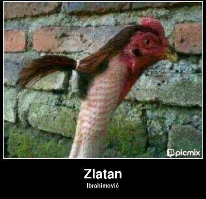 Zlatan.jpg