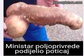 poticaji.jpg