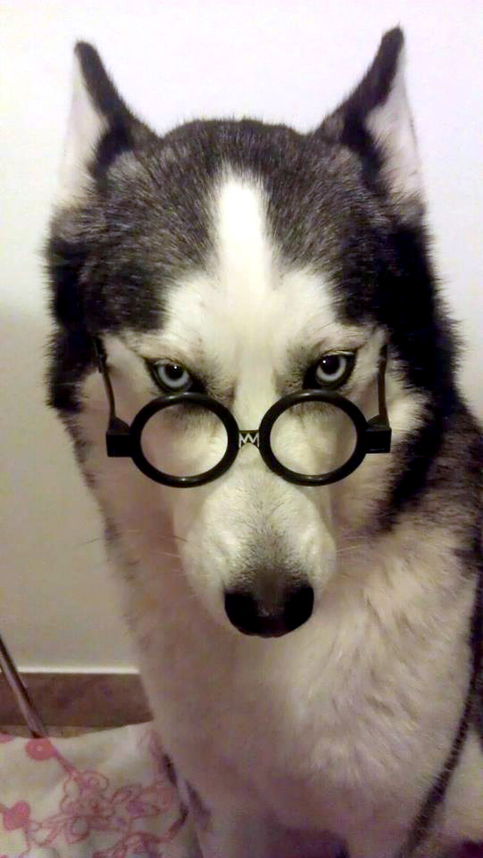 Professor K