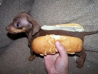 Hot.Dog