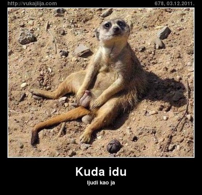 kuda-idu.jpg