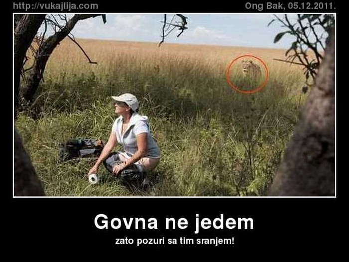 govna-ne-jedem.jpg