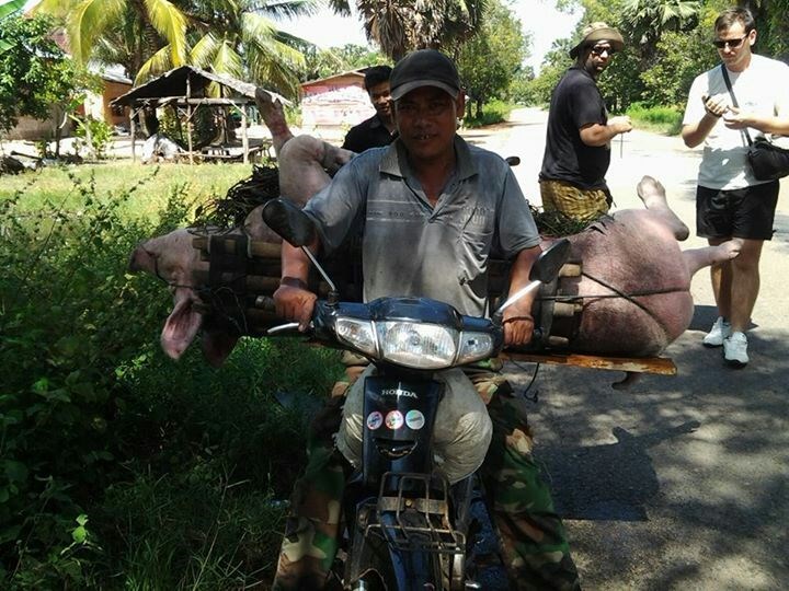 Prijevoz za vlastite potrebe