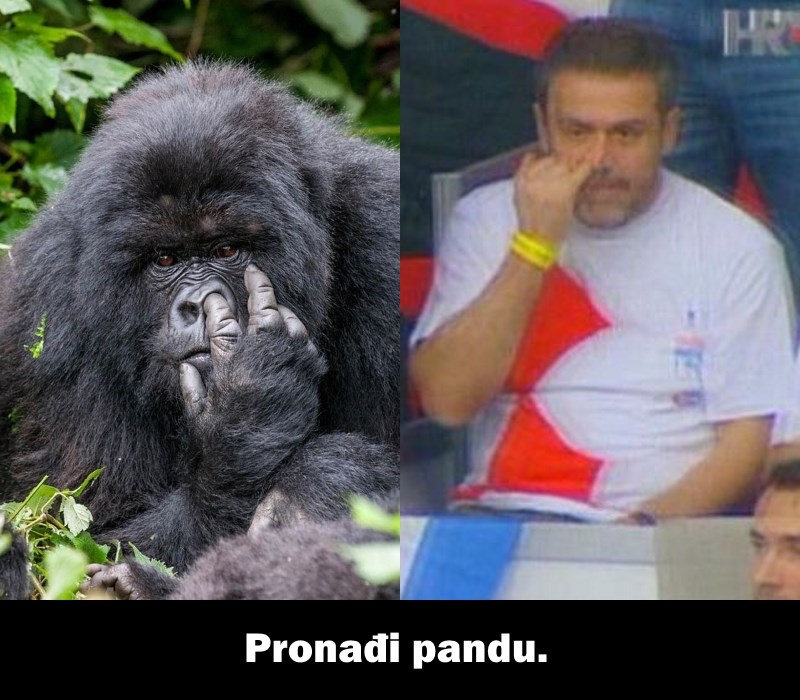 Koga bi radije za gradonačelnika?