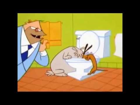 Two dogs and a stupid