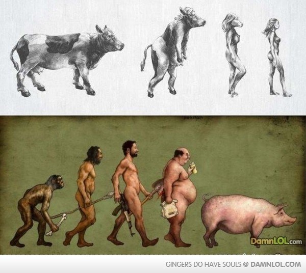 Evolucija