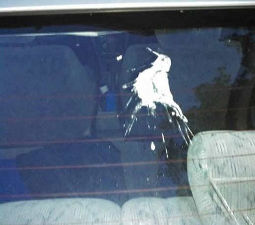 Ptica mu se pokenjala na šajbu - u obliku ptice koja kenja