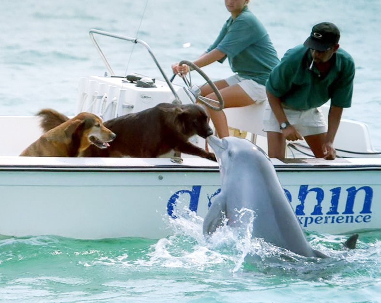 Oni već znaju da su braća i frendovi