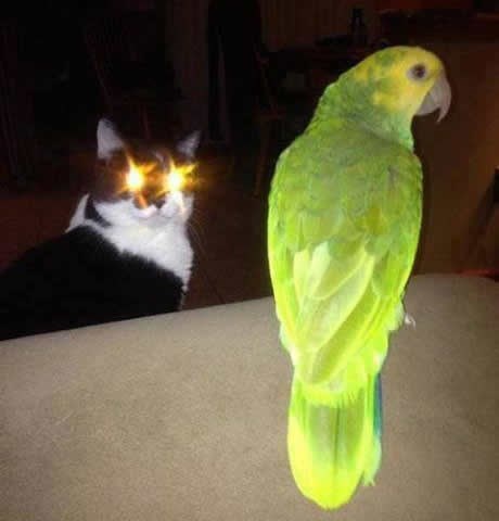 Gledala Supermana, pa isprobava lasere iz očiju