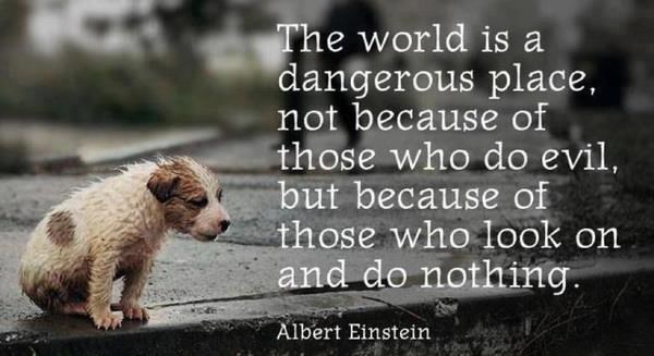 Šutnja je najveći grijeh - poduzmi nešto i promijeni svijet