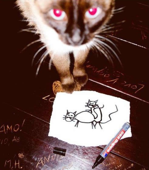 Pusti me van, majke ti, jel ti moram crtat?