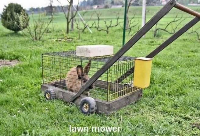 Eko kosilica za travu - spora, ali učinkovita