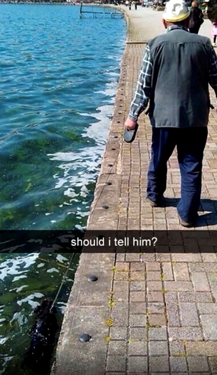 Bolje psa nego državu...