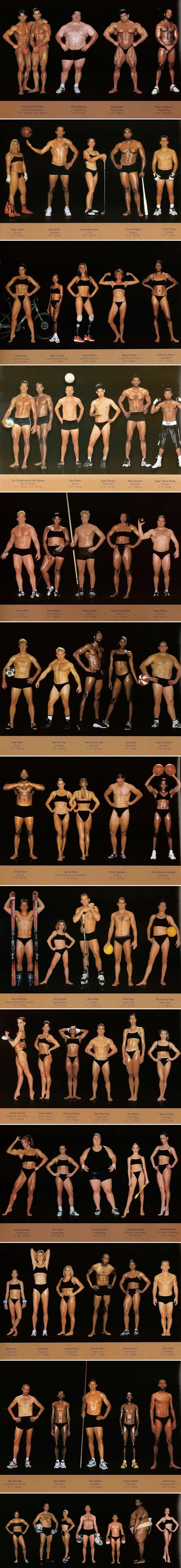 Svi mogući tipovi tijela sportaša