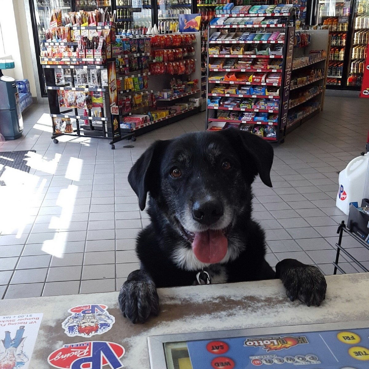 Znači, imam deset novaca, kupio bih keks!