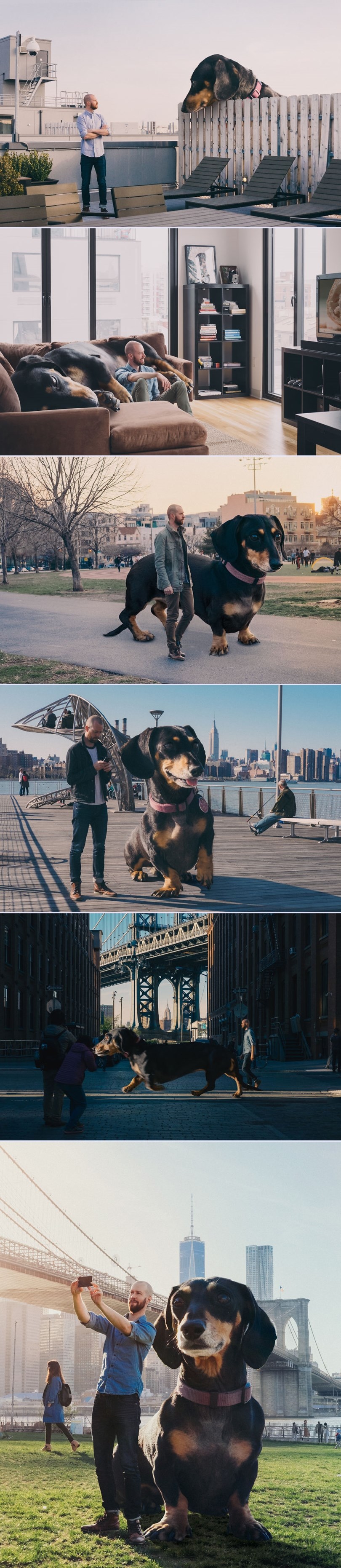 Da su mali psi veliki kao što si umišljaju