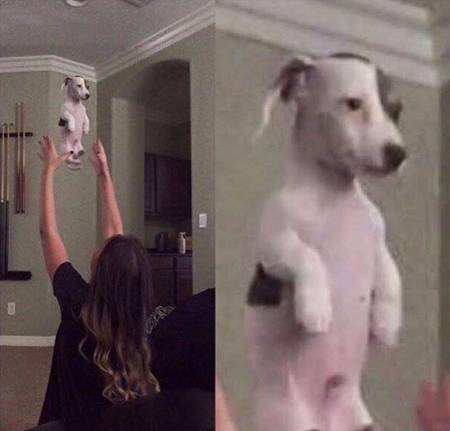 Jesi ti to mene stvarno bacila!? PA GOTOVA SI!