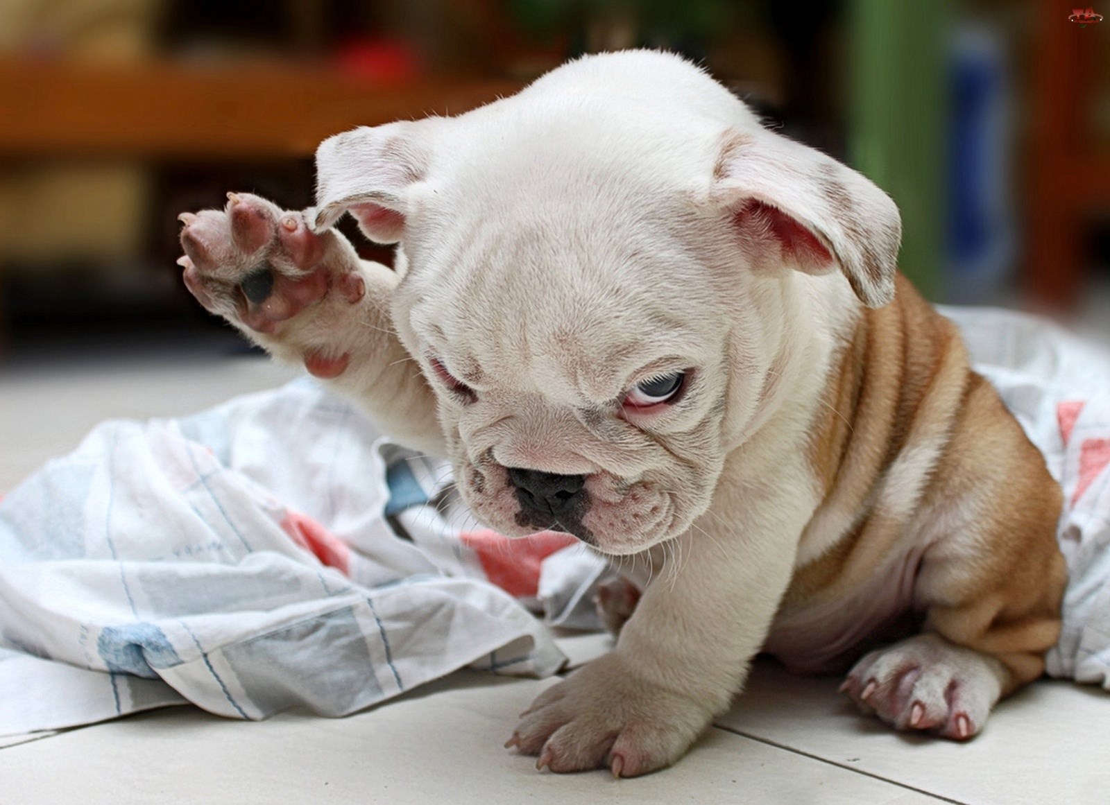 OK, da, ja sam napravio nered, šta sad, ajme!