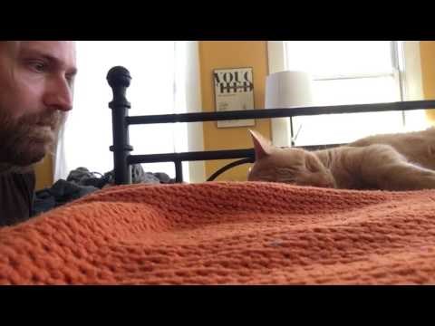 Muškarac se osvetio mački koja ga budi svake noći u 4 ujutro