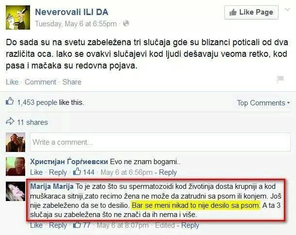 Srećkovićka, nikad trudna sa psom