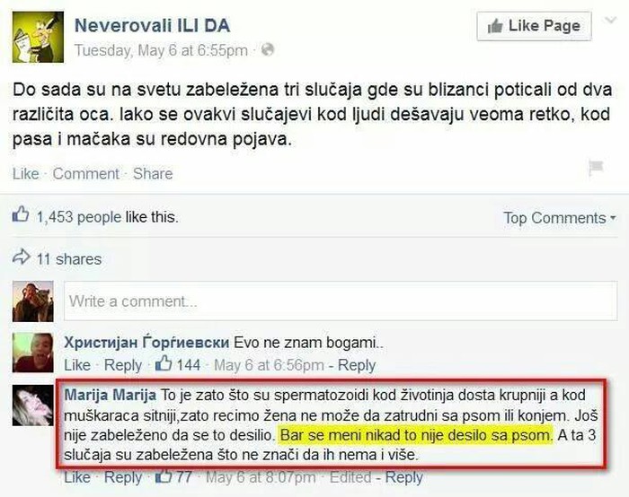 Srećkovićka, nikad trudna sa psom