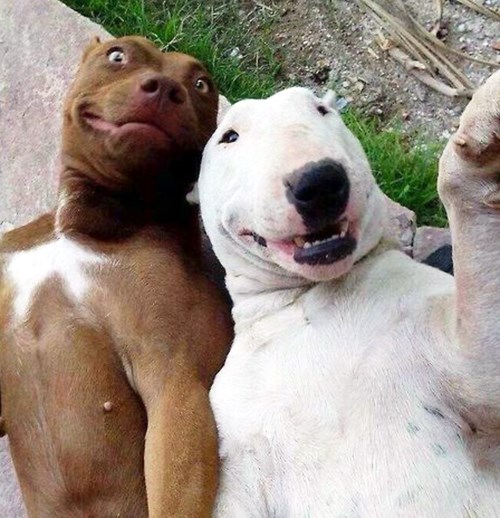 Kakav glupi astronaut, ovo je najbolji "selfie" 2013.!