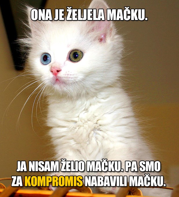 Ženska verzija kompromisa