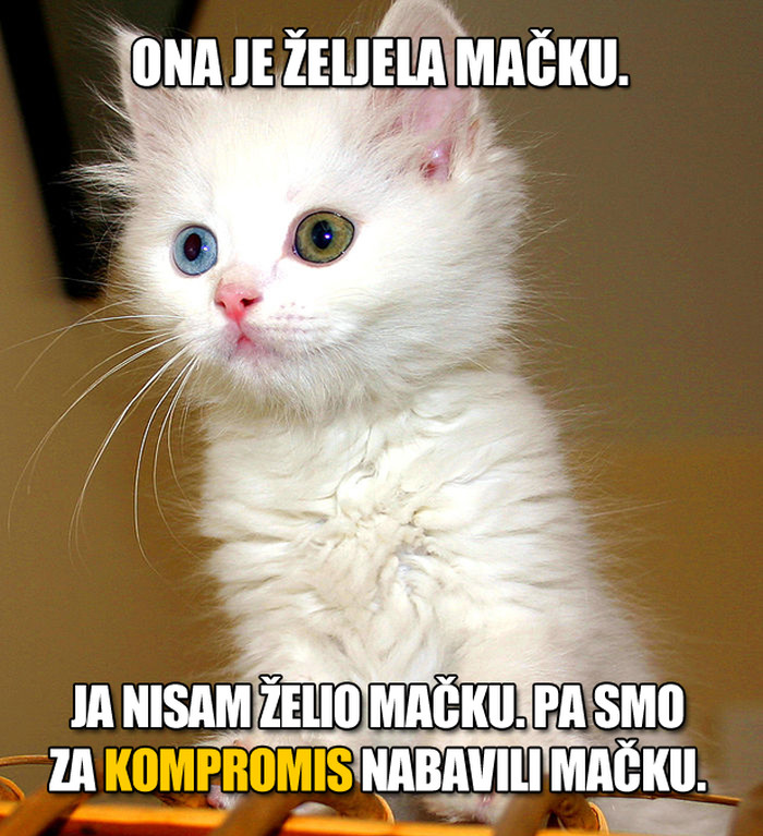 Ženska verzija kompromisa