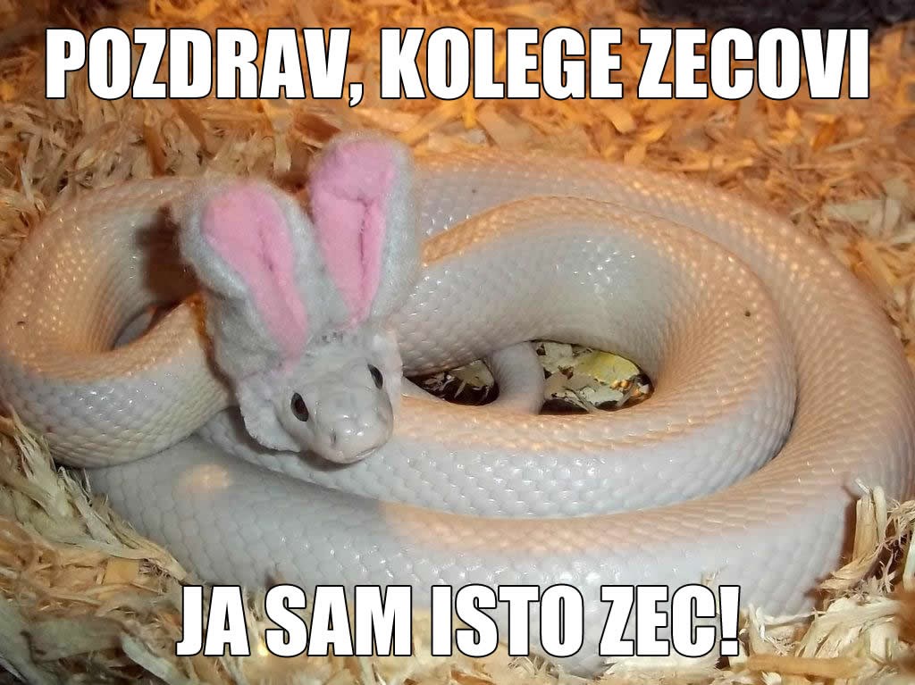 Mora ih nadmudriti, kad ih ne može nadrtrčati