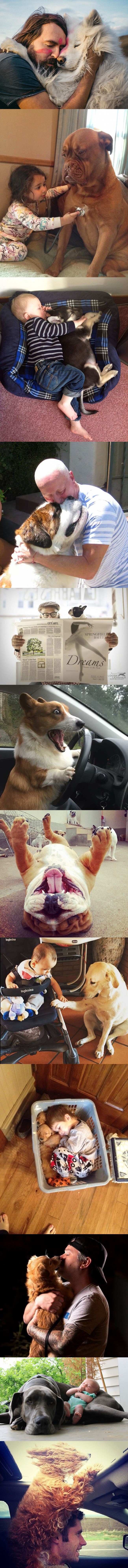 Dvanaest fotografija pasa zbog kojih ćete poželjeti jednoga za sebe