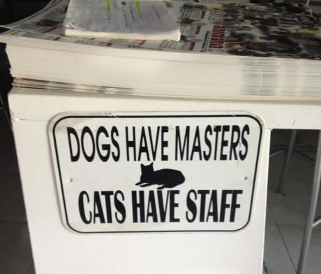 Mačke su kao vinograd - trpe samo slugu