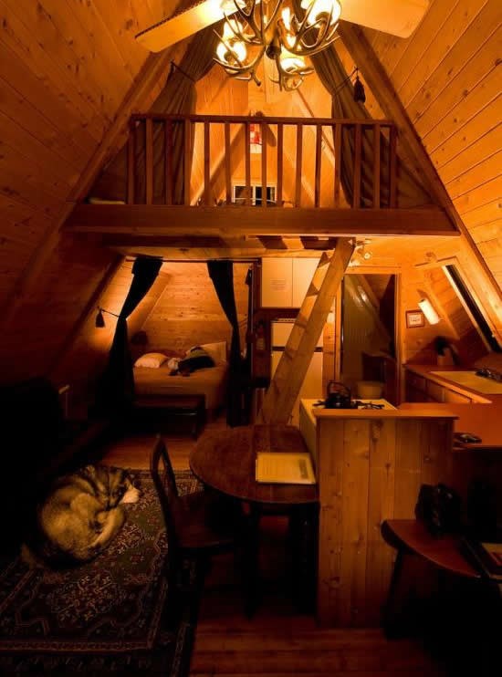 Tvoja kućica, tvoja slobodica.. i pas