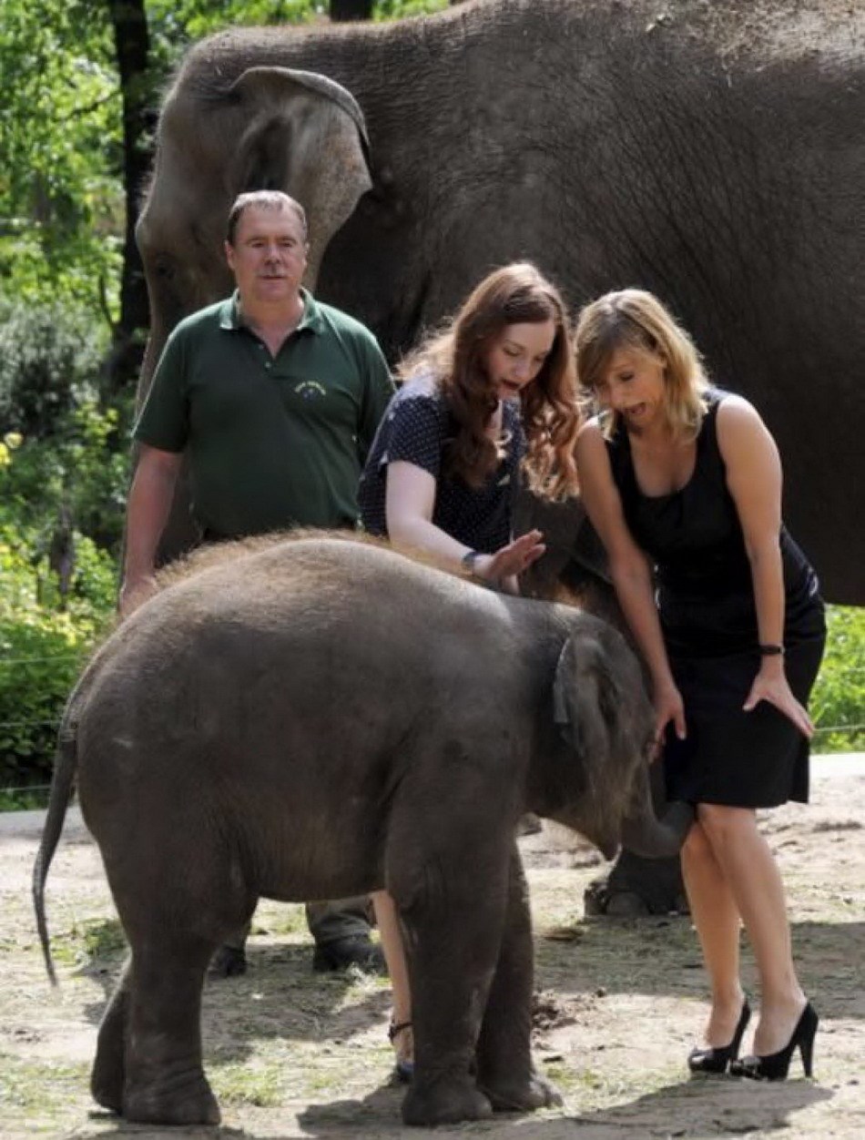 Bravo, sloniću, tako sam te učio...