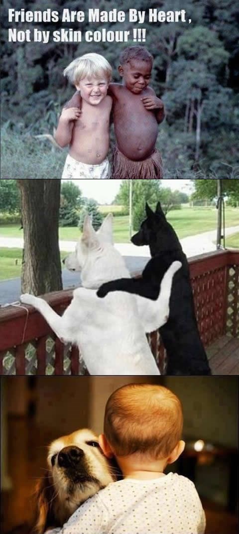 Ljubav: Uložiš malo, dobiješ sve