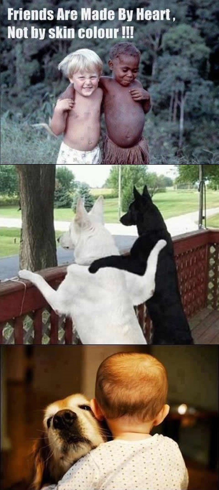 Ljubav: Uložiš malo, dobiješ sve
