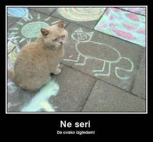 Kritičarska mačka zgazila dječje snove o slikanju