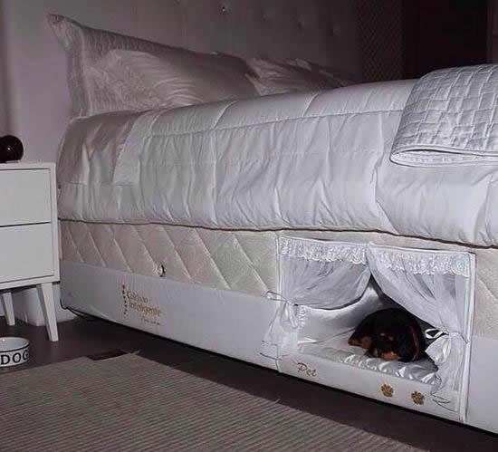 Da ti ljubimac ne spava na glavi