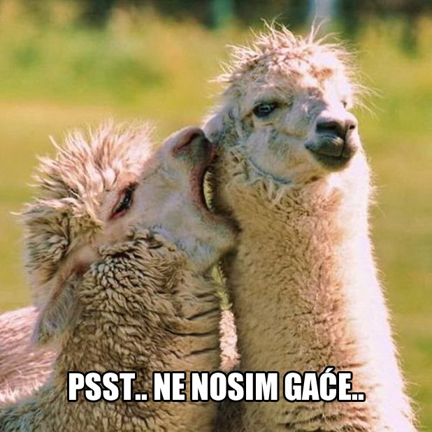 Ljame su perverznije od ljudi!