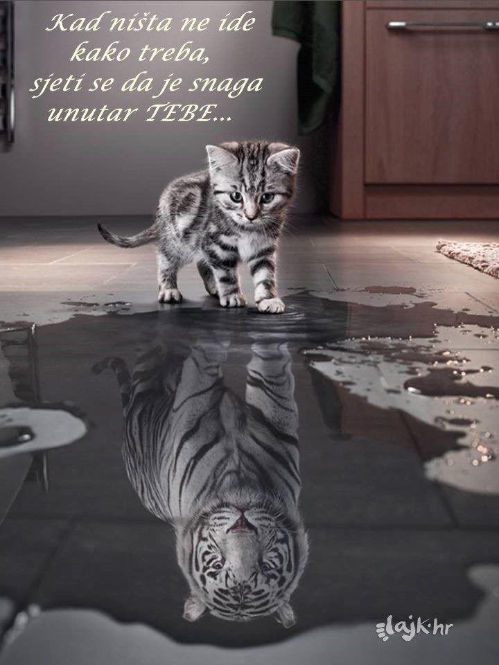 Dan po dan, jedini je način...