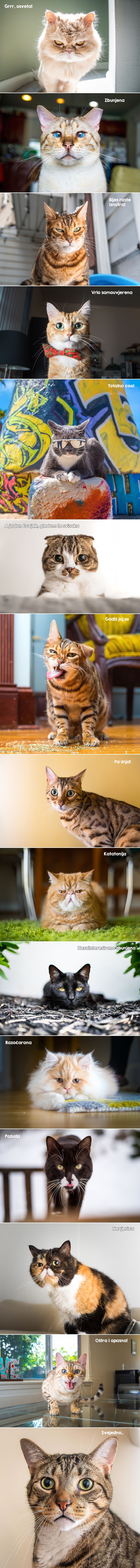 GALERIJA: I one imaju osjećaje, evo vam cijeli popis s primjerima!