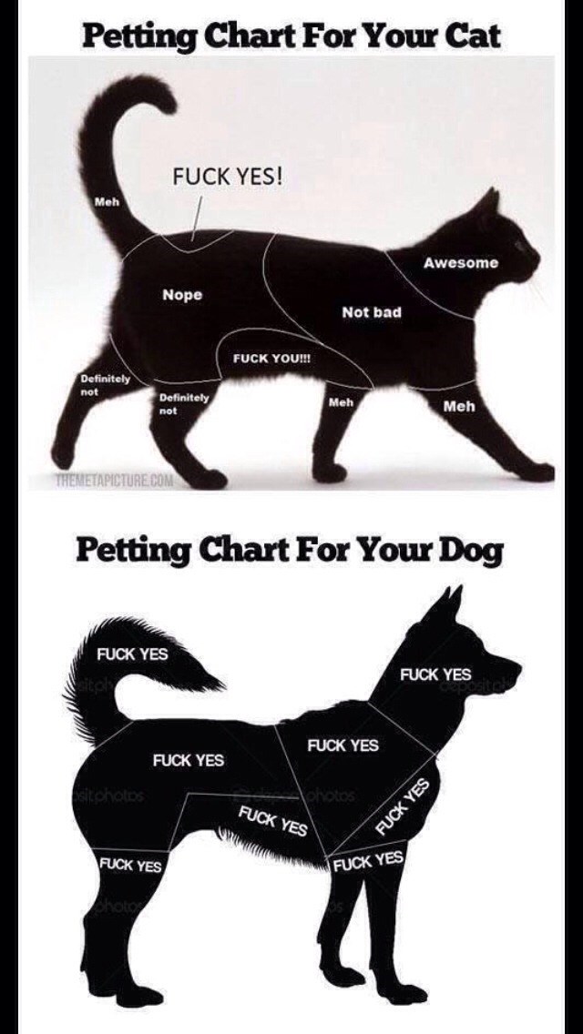 Pomazi psa i mačku bez smrtnih posljedica, po sebe