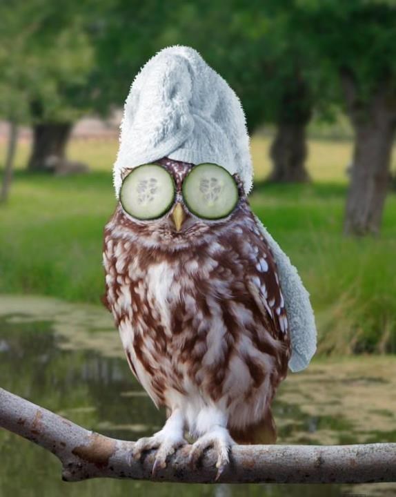 Sova na detoksikaciji, uživa u spa paketu za rođendan