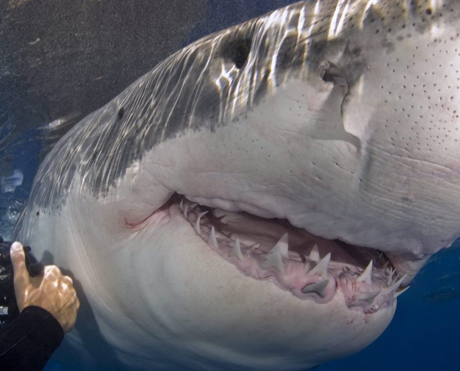 Napuniš gaće od samog pogleda