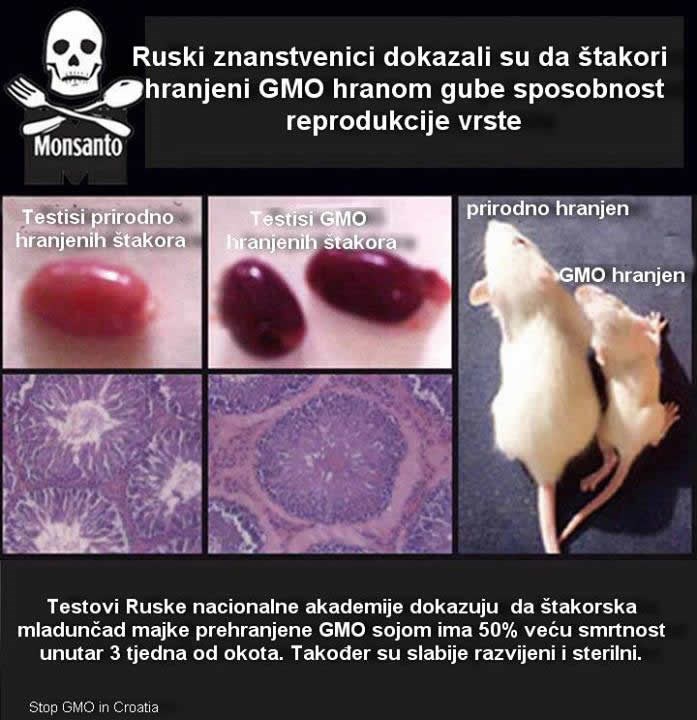 Želite li GMO u Hrvatskoj?