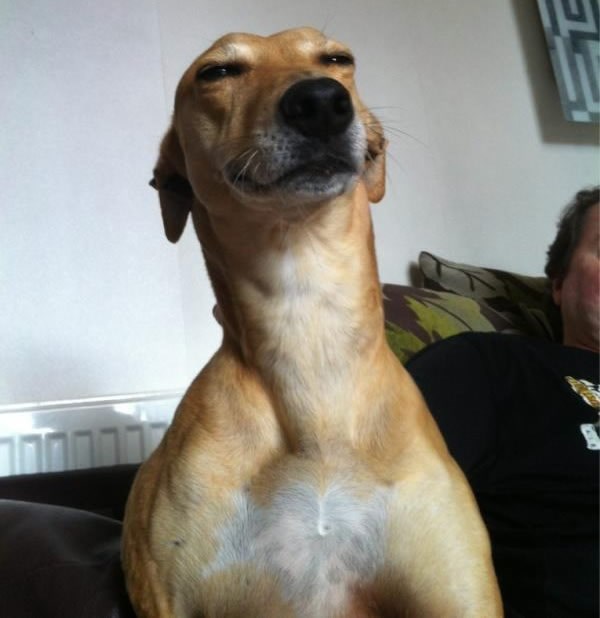 Mhm, nisi vidjela moj SMS, kao..