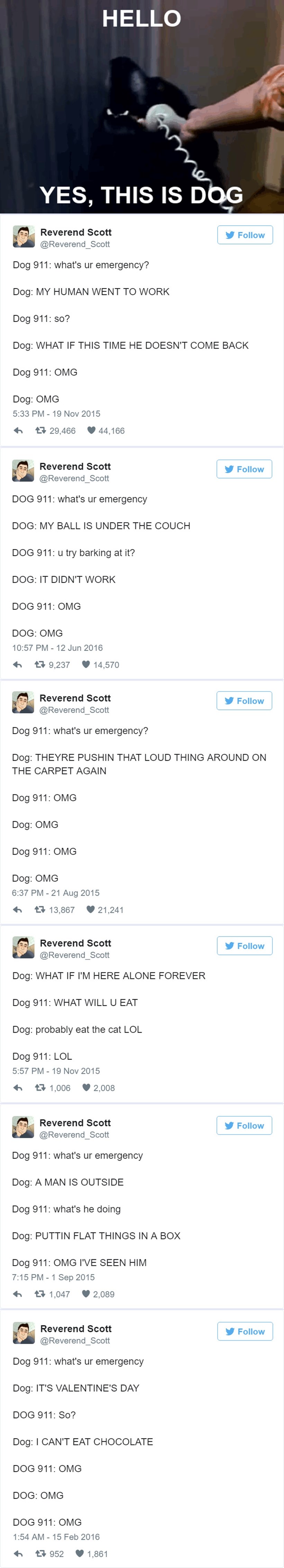 Najveći pseći problemi zbog kojih bi zvali Pseći 911