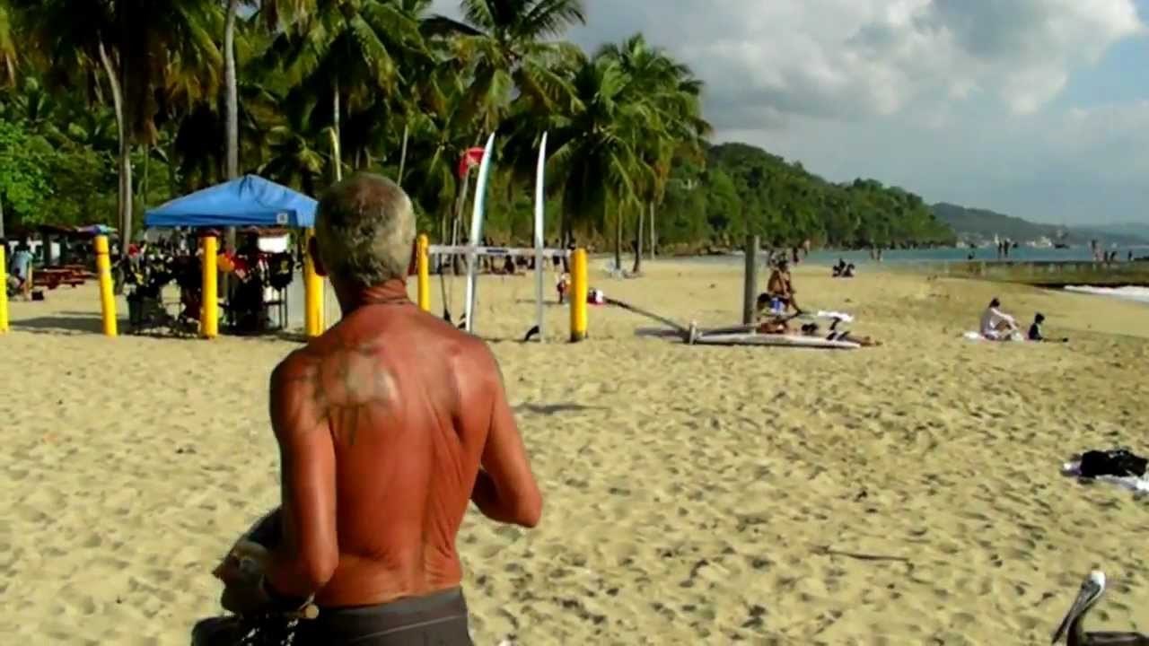 ŠAPTAČ PTICAMA: Izdresirao pelikane i naučio ih plesati