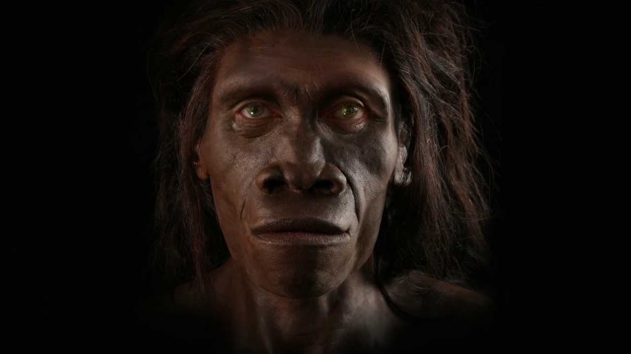 VIDEO: Evolucija ljudskog lica kroz milijune godina do danas