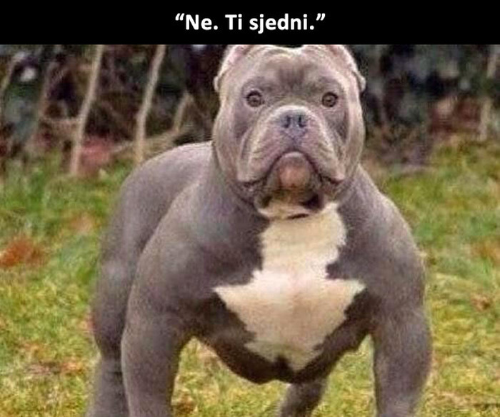 OK!